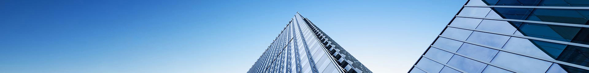 青島楓林食品機械有限公司