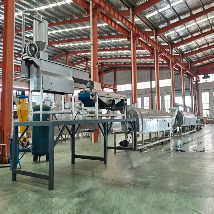 芝麻水洗炒制生產線